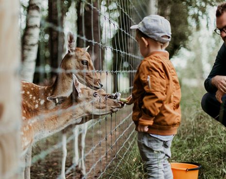 Wanderwege Herborn LAhn Dill Bergland