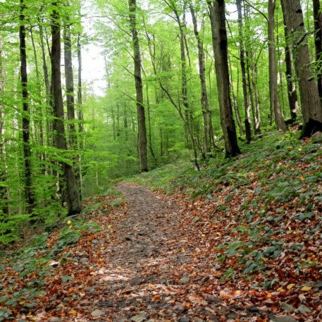 Wanderwege Herborn LAhn Dill Bergland